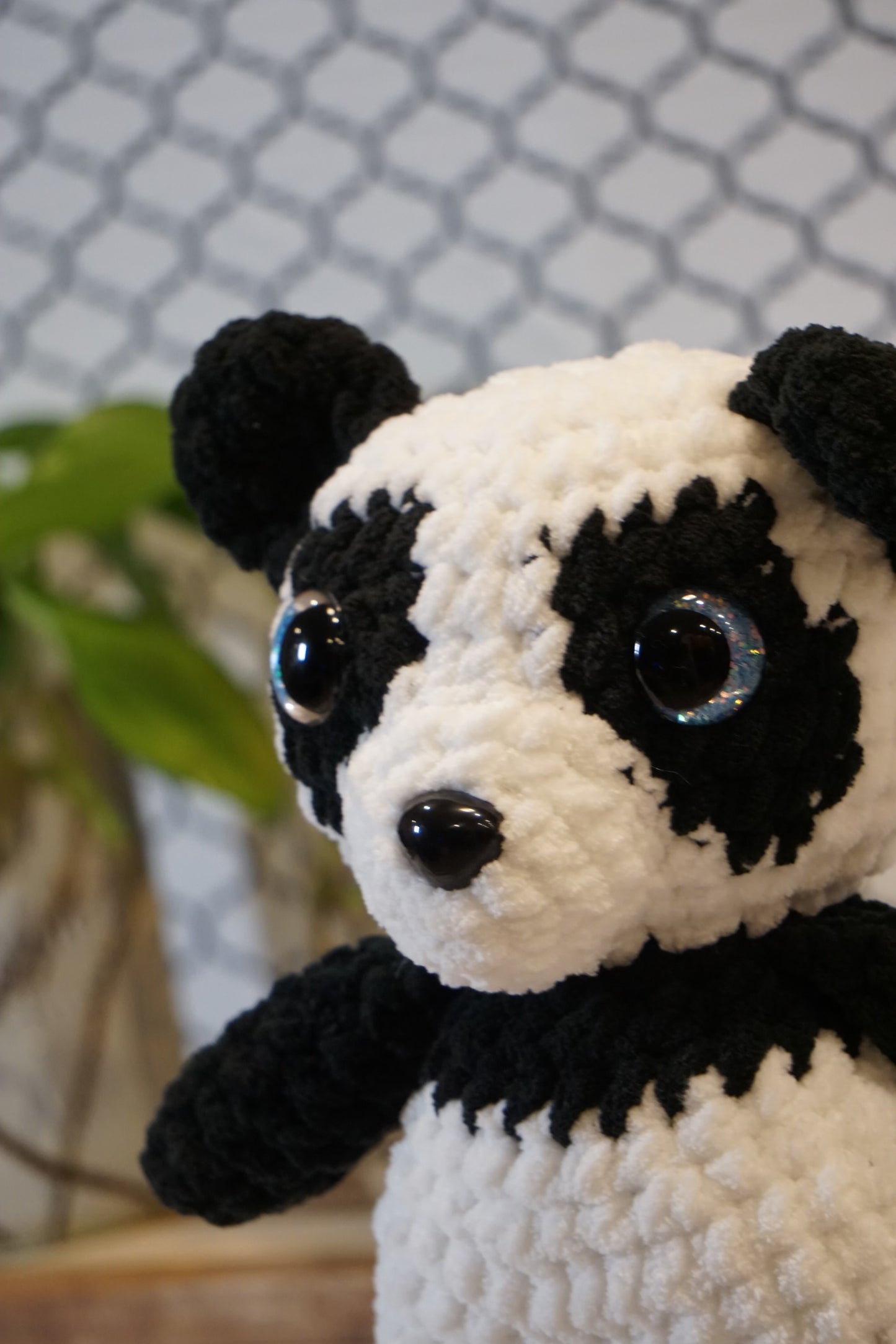 Panda Bear