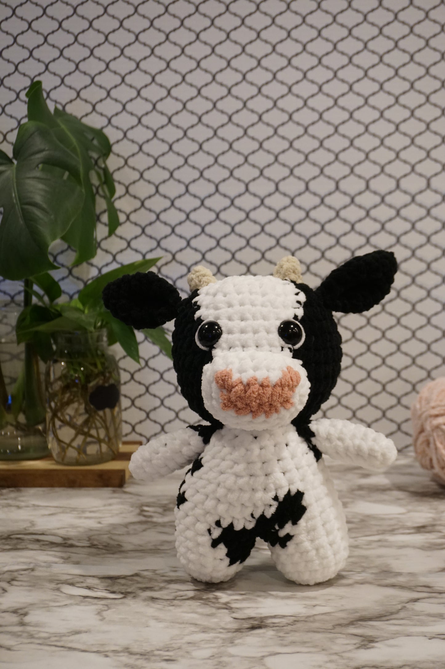Holstein Hanna the Cow